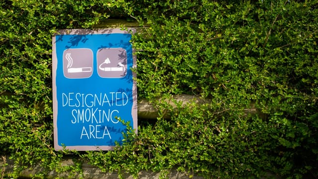 Blue designated smoking area sign surrounded by lush greenery outdoors during the day.