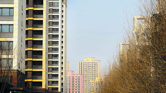 High-rise buildings with leafless trees in Tianjin's Dong Li Qu district.