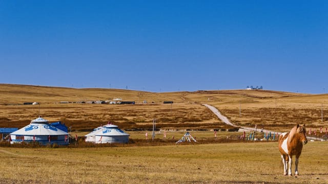 Peaceful Inner Mongolian grassland with traditional yurts and a grazing horse under a vibrant blue sky.
