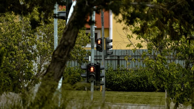 Traffic lights amidst greenery in Istanbul, Türkiye. A peaceful urban view.