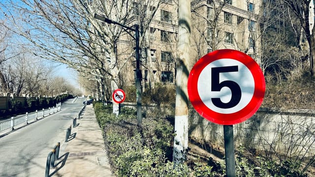 Street scene featuring a speed limit sign of 5 with winter barren trees lining the road.