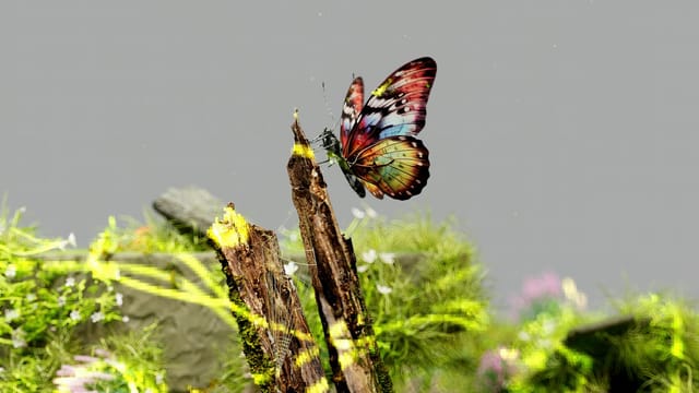 A colorful butterfly rests on a moss-covered branch with a blurred natural background.