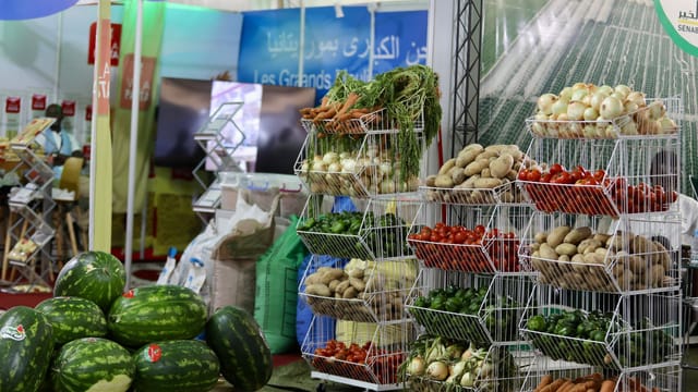 Vibrant market stall displaying watermelons, carrots, and more fresh produce.