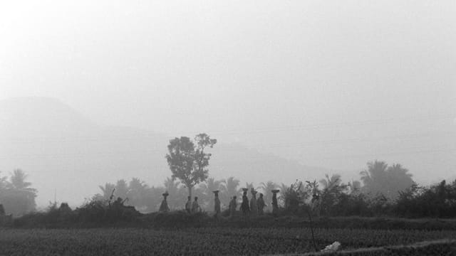 A serene rural scene with silhouetted figures amid misty fields and trees.