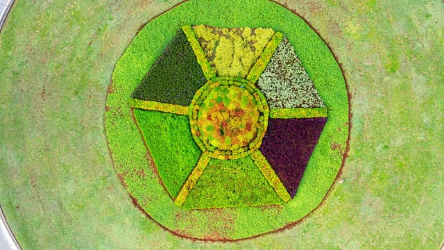 Top view of landscape design of green plants growing in circle with geometric shapes in daylight