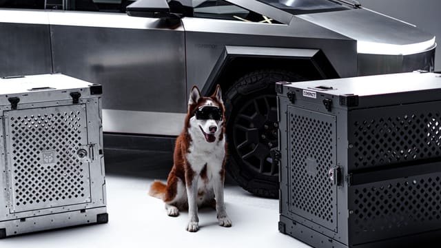 Siberian Husky with sleek dog crates and a futuristic vehicle in a modern studio setting.