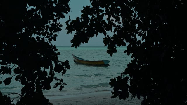 Calm ocean scene framed by leaves with a lone boat on a tranquil beach.
