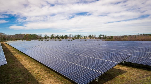 A vast array of solar panels on a sunny day showcasing renewable energy technology.